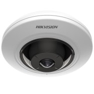 Hikvision fisheye...