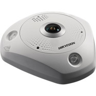 Hikvision fisheye...